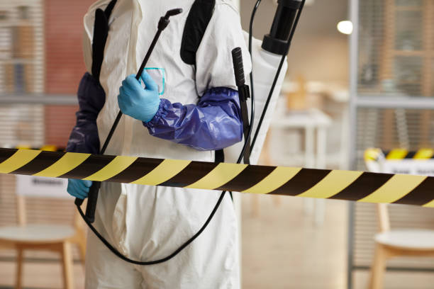 Professional Biohazard technician working in Bayport, NY